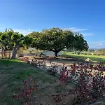 La Collina: L’alba Castiadas