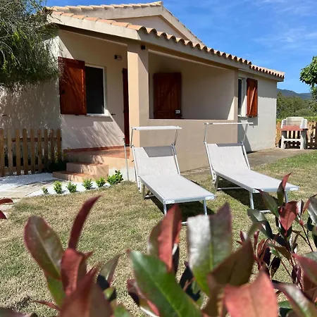 La Collina: L'alba Castiadas