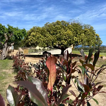 Appartement La Collina: L'alba