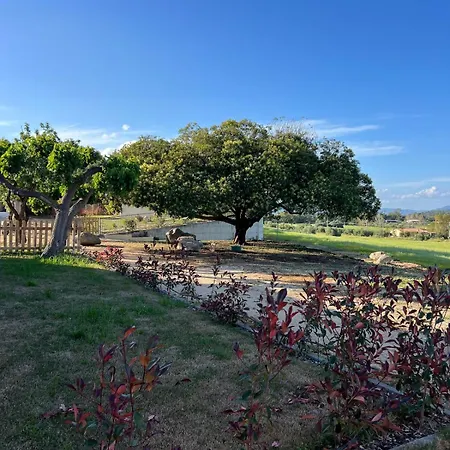 La Collina: L'alba Castiadas